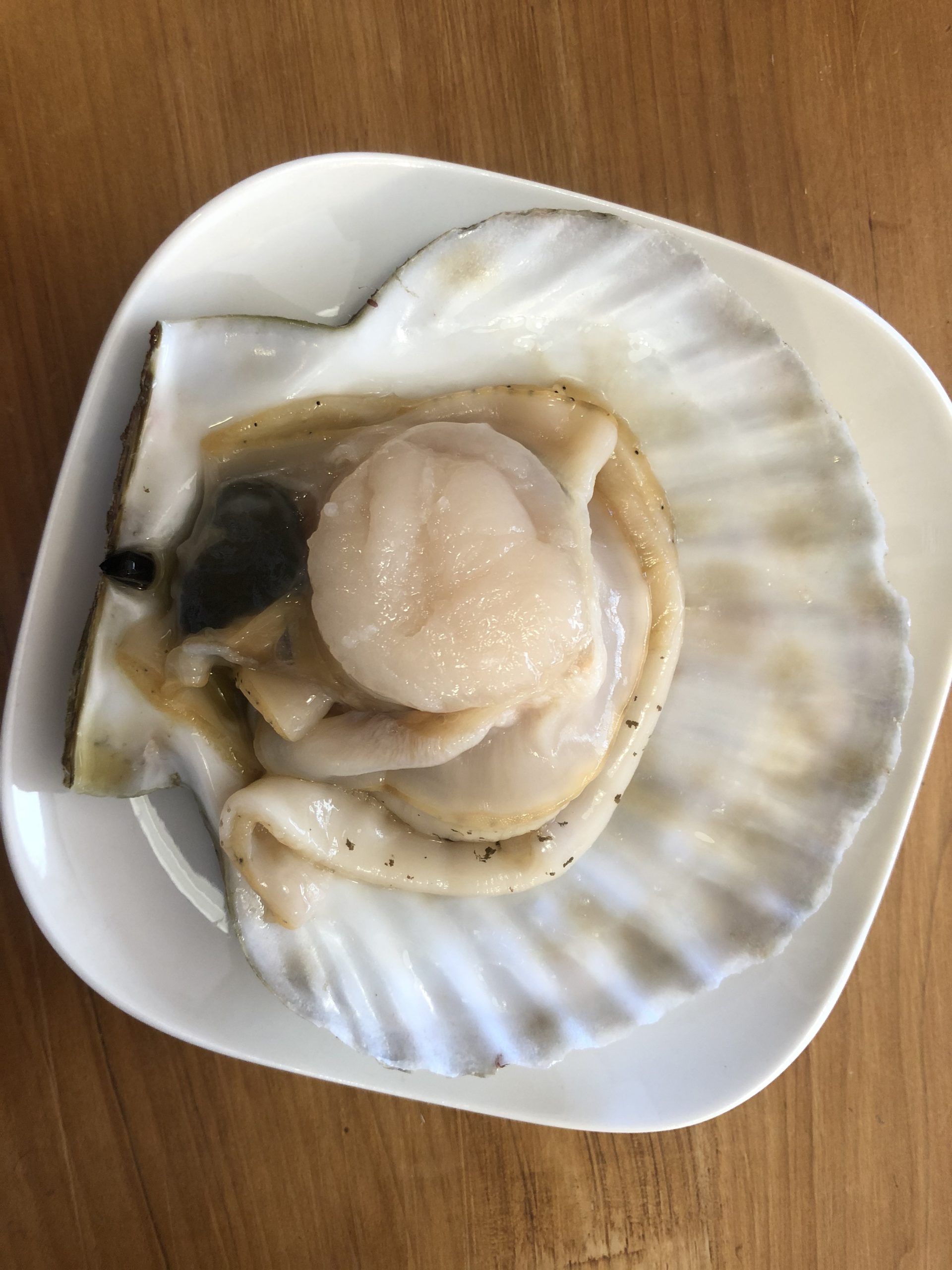 ホタテの流通が始まりました 牡蠣とホタテの取扱店 Onokuru